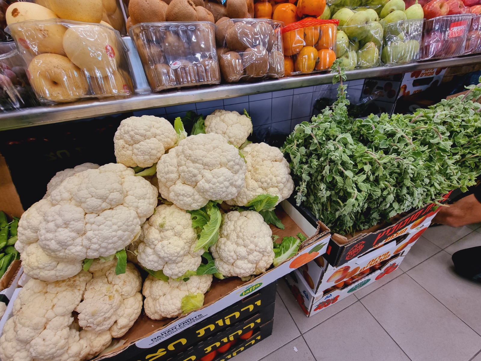 WhatsApp Image 2022-03-29 at 1.24.32 PM.jpeg